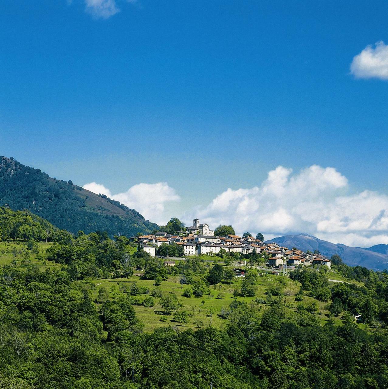Hotel & Spa Cacciatori 4*